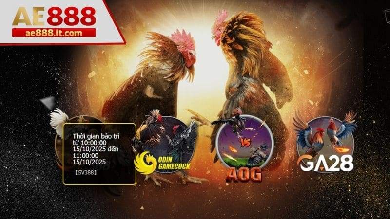 Truy cập sảnh đá gà AE888
