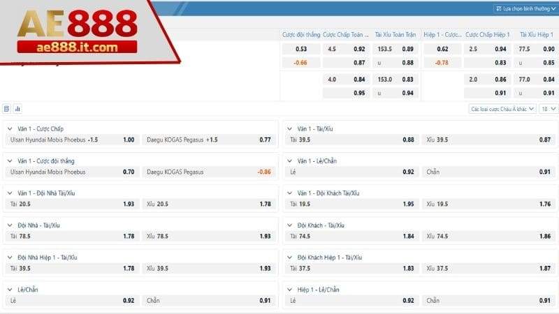 Đa dạng cửa đặt cược bóng rổ tại AE888