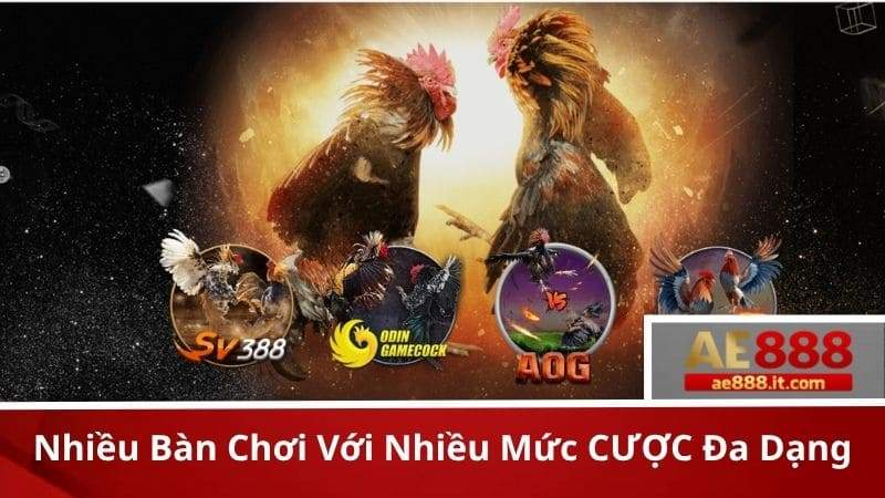 Đá gà AE888 có bốn sảnh cược đá gà nổi tiếng